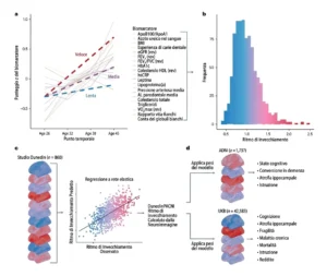Sviluppo e validazione di DunedinPACNI. Articolo di ricerca di NeuronUP.
