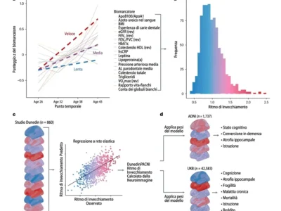 Sviluppo e validazione di DunedinPACNI. Articolo di ricerca di NeuronUP.