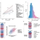 Sviluppo e validazione di DunedinPACNI. Articolo di ricerca di NeuronUP.