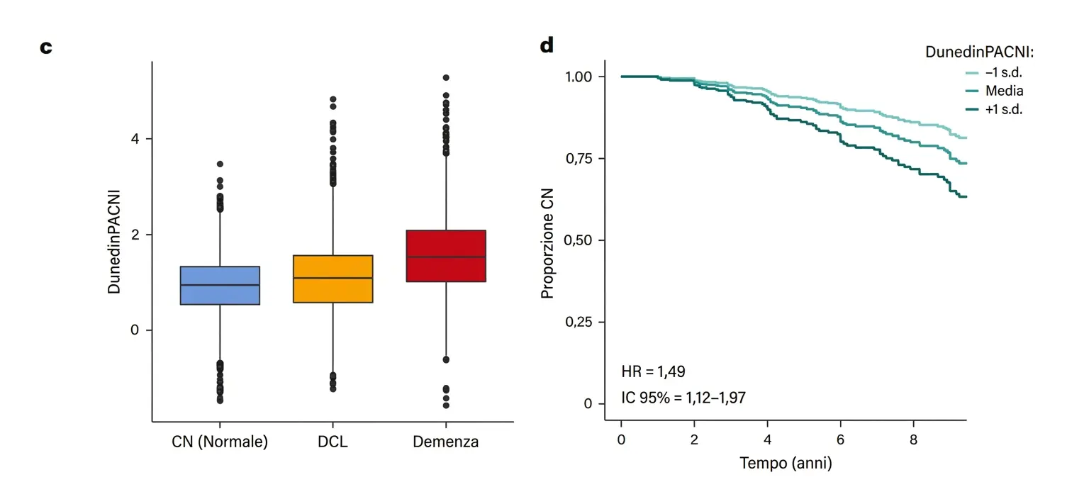 DunedinPACNI è associato al declino cognitivo e al rischio di progressione. Articolo di ricerca di NeuronUP.