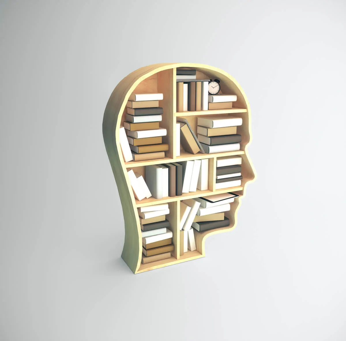 Книга по нейрокогниции, социальной когниции и метакогниции при психозах. Книга о мозге.