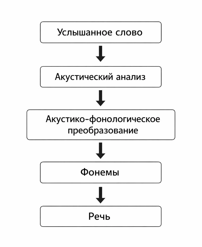 Neuropsychology of aphasia - repetition processes