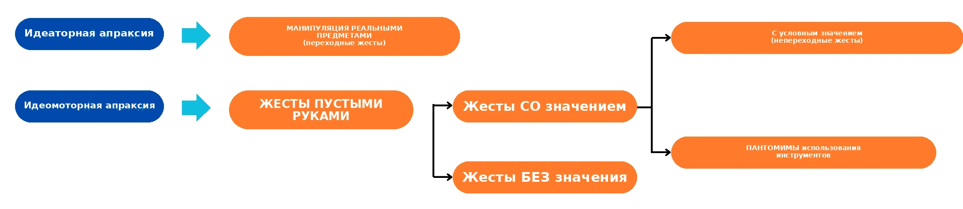 Краткое руководство по обзору литературы об апраксиях. Том 1 Apraxia ideacional y Apraxia ideomotora