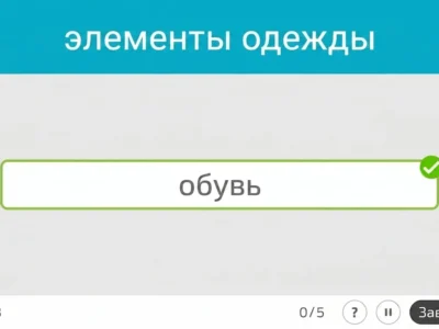 Интерфейс NeuronUP: категории на время, текст «элементы одежды», поле «обувь» отмечено верно и счётчик 3.