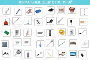 Интерфейс NeuronUP с пиктограммами бытовых предметов: унитаз, пляжный стул, швабра, телефон, пульт и пылесос; нужно выбрать элементы категории.