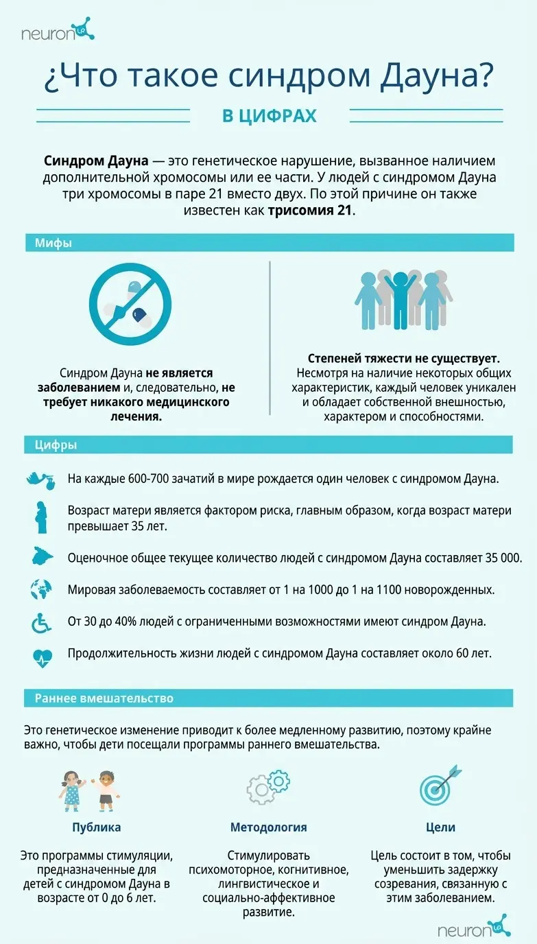 Образовательная инфографика о синдроме Дауна с пиктограммами и пояснительными текстами: определение, мифы, факты и цифры, ранняя помощь и методика.