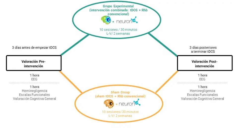 Grupos de intervención y método del proyecto tDCS-Neglect