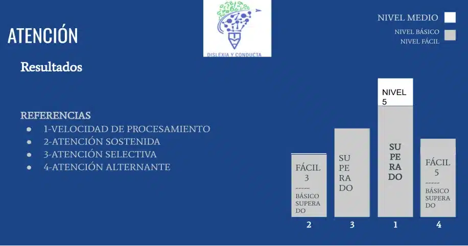 Estrategias de la clínica neuropsicológica