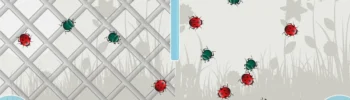 Pantalla de la actividad Separa los bichos: mariquitas rojas con manchas negras en rejilla y verdes en área natural.