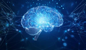 Organización funcional del cerebro ¿tiene sentido seguir hablando de “áreas cerebrales” en la neurociencia actual