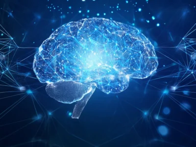 Organización funcional del cerebro ¿tiene sentido seguir hablando de “áreas cerebrales” en la neurociencia actual