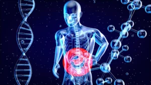 Microbiota intestinal y alzhéimer papel del eje intestino-cerebro en el deterioro cognitivo. Relación entre la microbiota intestinal y el deterioro cognitivo.