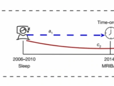 Modelo simplificado de mediación temporal entre duración del sueño, envejecimiento cerebral y síntomas depresivos.