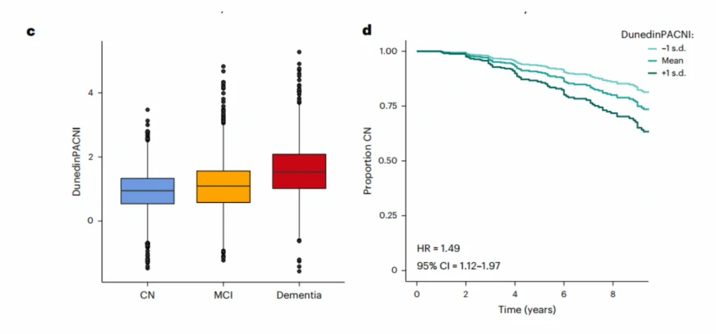 DunedinPACNI se relaciona con deterioro cognitivo y riesgo de progresión. Artículo de investigación de NeuronUP.
